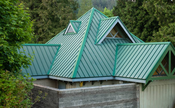 Best Roof Waterproofing  in Dillon, SC