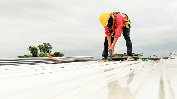 Best Gutter Installation and Repair  in Dillon, SC
