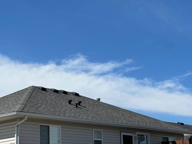 Best Asphalt Shingles Roofing  in Dillon, SC